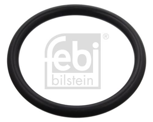 Seal Ring, coolant hose